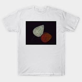 Chinese Lanterns T-Shirt